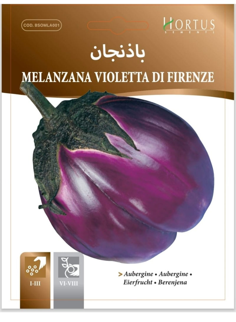 Eggplant Seeds